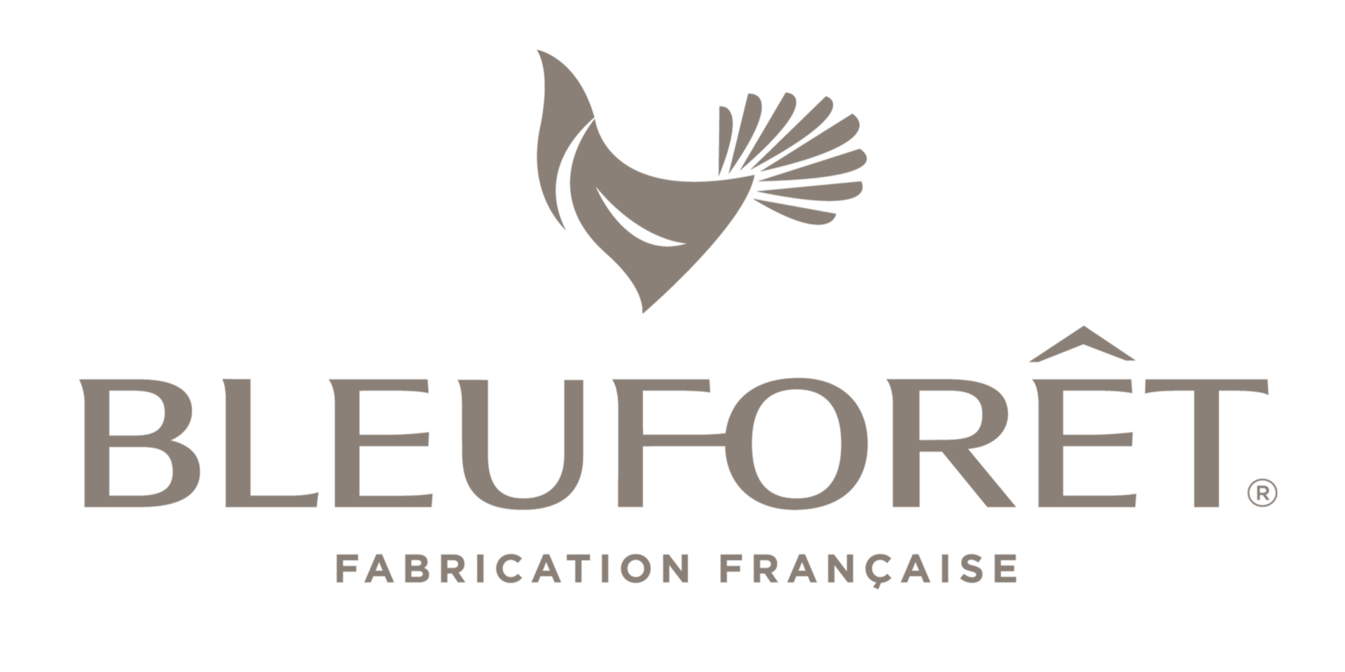 Cent-Dessus-Dessous-Bleuforet-scaled.png